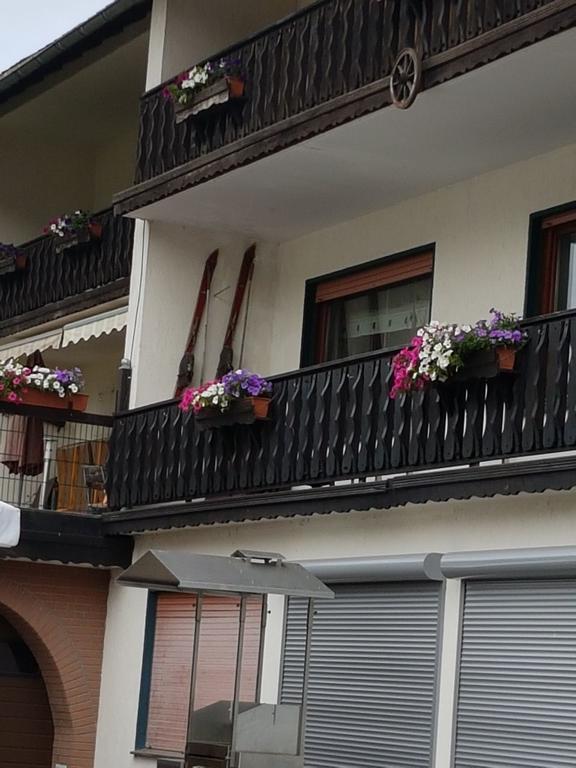Claudias Wohlfuhlpension Willingen  Exterior photo